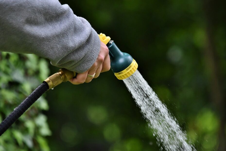 water jet shower to water water 8007873